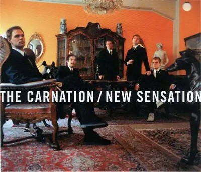 the Carnation - New Sensation