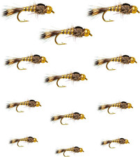 Every Season Trout Assortment Dry Flies/Nymph Flies/Attractor/Wet Flies for Trou