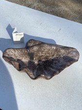 McCARTY POTTERY MERIGOLD, MISS DELTA LARGE 11.5" SHELL HANDMADE SIGNED RIVERMARK