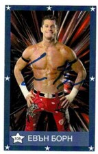 Evan Bourne Matt Sydal WWE 2010 International Wrestling Trading Card AEW #108