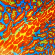 Neon HOT LAVA Cheetah Leopard Faux Fur Fabric 62" BTY ORANGE YELLOW BLUE