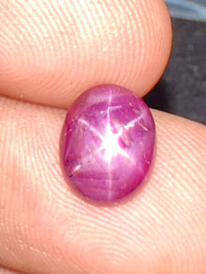 Rubis étoilé Naturel 2,60 Carats - Étoile à 6 Branches, Cabochon, Origine Mozambique