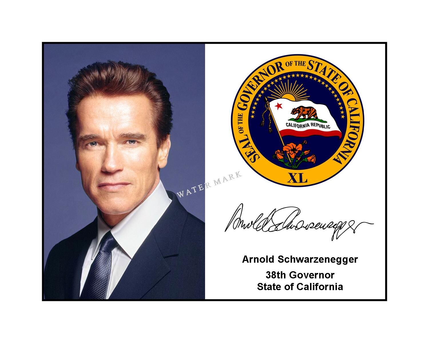 Arnold Schwarzenegger 8x10 Signed photo California governor seal