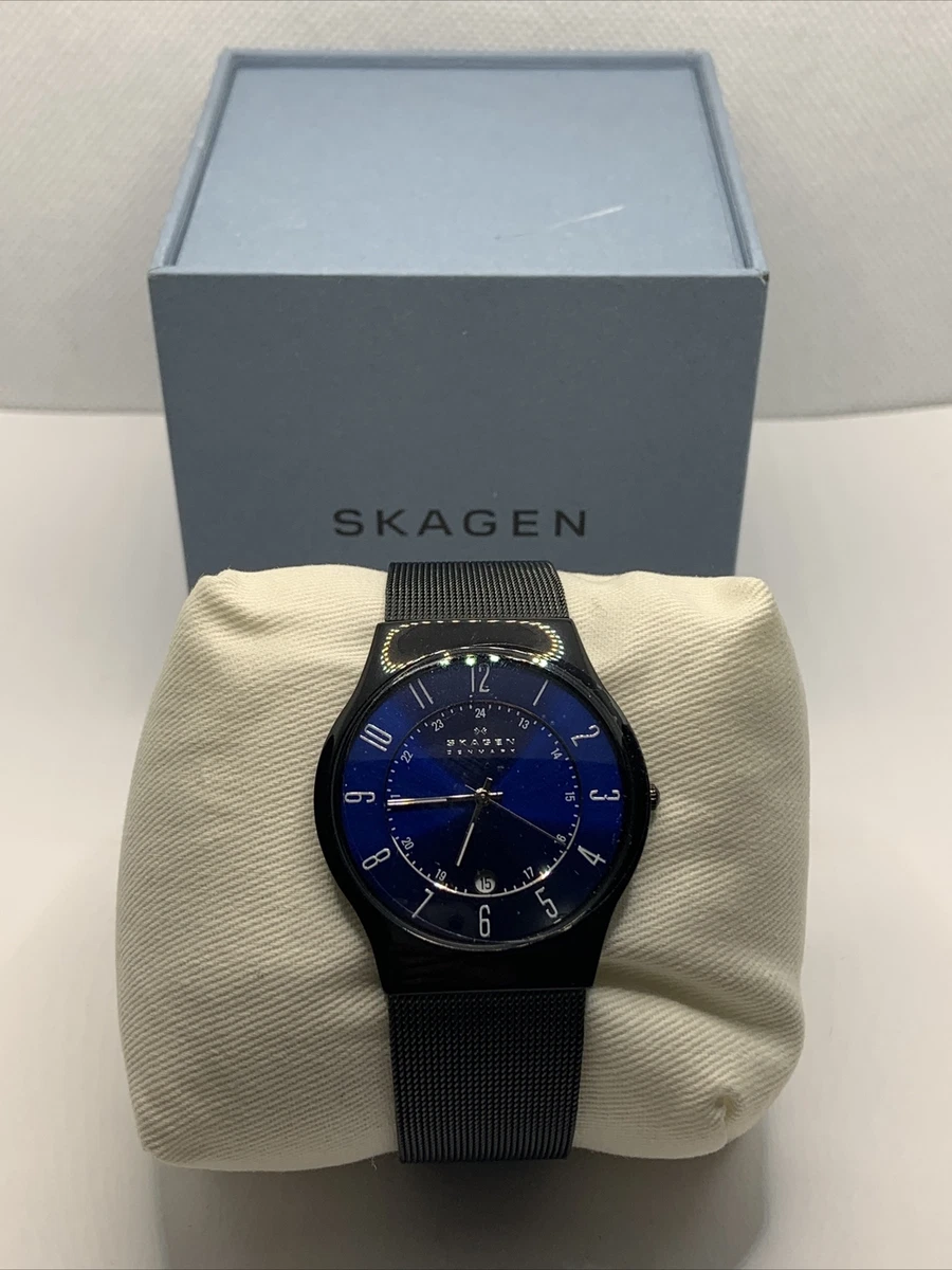 Skagen sundby titanium watch sale