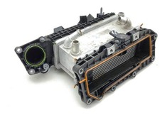 Renault Austral 2023 Ladeluftkühler Kühler 1434960S0L AMD198650