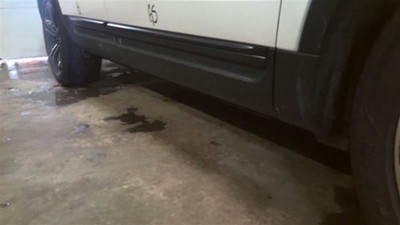 EXPLORER  2013 Rocker Panel Moulding 355382