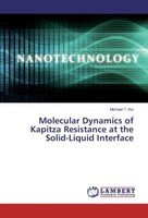 Molecular Dynamics Of Kapitza Resistance At The Solid-Liquid Interface Michael T