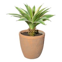 artplants KüNstliche Sukkulente Agave Gruft, Terracottatopf, GrüN-Creme, 35Cm