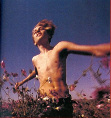 Leonardo DiCaprio - Leo - 12"" x 8,75"" Ritaglio poster pinup rivista adolescente - Foto 4 di 4