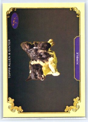 2024 Topps Allen & Ginter #SOS-34 Nimble Stars Of The Show