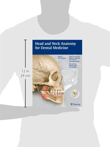 Head and Neck Anatomy for Dental Medicine 9781604062090| eBay
