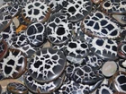 Natural Splendid Black Septarial Nodule Handmade Loose Gemstone Wholesale Lot