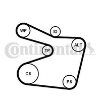 Continental Ctam 6PK1555K1 V-Ribbed Belt Set For BMW