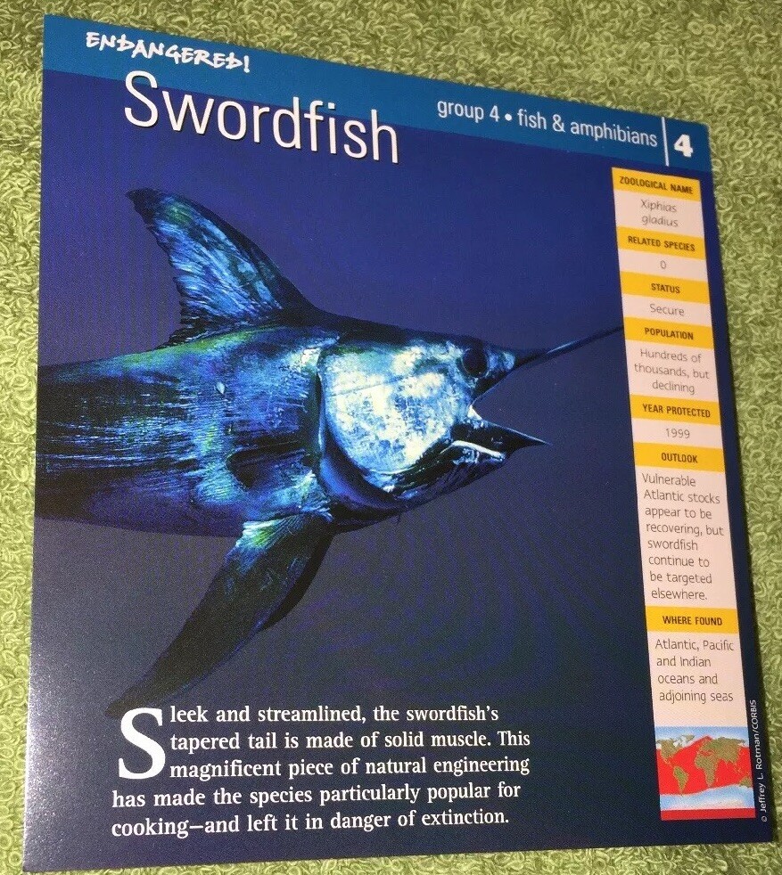 Endangered Species Animal Card Fish & Amphibians Swordfish 4 eBay