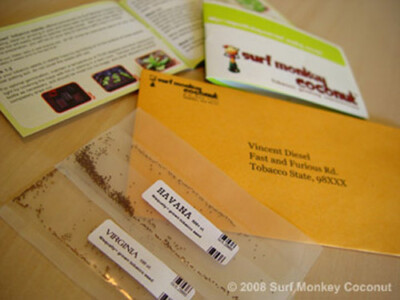 best tobacco seeds - Gold Leaf 939 many hailing from distinct parts of the world 50+ Tobacco Seeds - Etsy