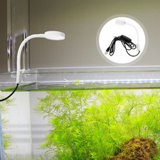  Aquatic Plant Lighting Luce Compatta Per Acquario Comoda Lampada