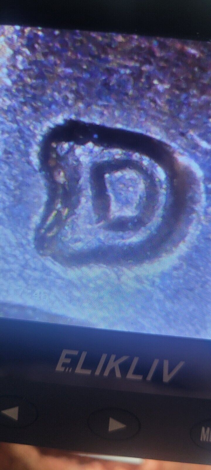 Picture 5 of 13