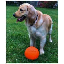 Orange Bounce-N-Play Dog Toy Ball for Large Dogs