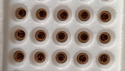 15x SP8600B ECL COUNTER x 4 250MHz CAN 8 PIN GOLD PIN VINTAGE Plessey - Picture 4 of 5