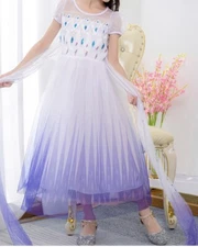 Halloween Kids' Deluxe  Frozen 2 Elsa Halloween Costume Dress 5-6T