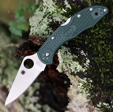 Spyderco Delica 4 Knife CTS-204P Blade Forest Green FRN Handle Dealer Exclusive