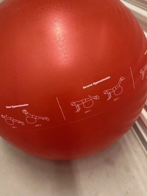 GoFit Pro Ball Stability Fitness Ball - Image 4 of 4