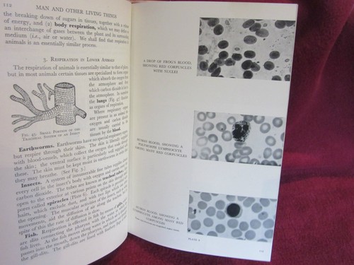 Man & other living things Introduction to Human Biology Francis G W Knowles HbDj - Imagen 11 de 12