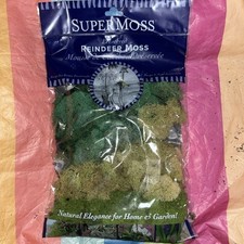Super Moss Reindeer Moss 120 Cubic Inches