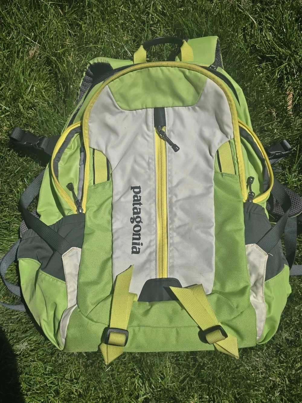 Patagonia Refugio 28L Daypack Travel Hiking Backpack Green