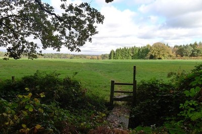Photo 6x4 he Stone Circles Challenge footpath leaving Brick-kiln Covert H c2016