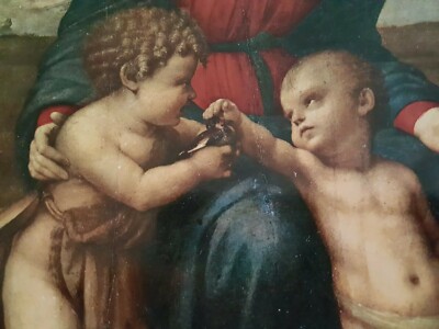 MADONNA with GOLDFINCH Detail Raffaello, Firenze- Galleria Uffizi-Italy