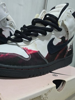 Nike Dunk High Pro SB Melvins