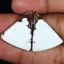 natural WILD HORSE pair cabochon loose gemstone 24.75 Carat. (20 x 24 x 03 mm)