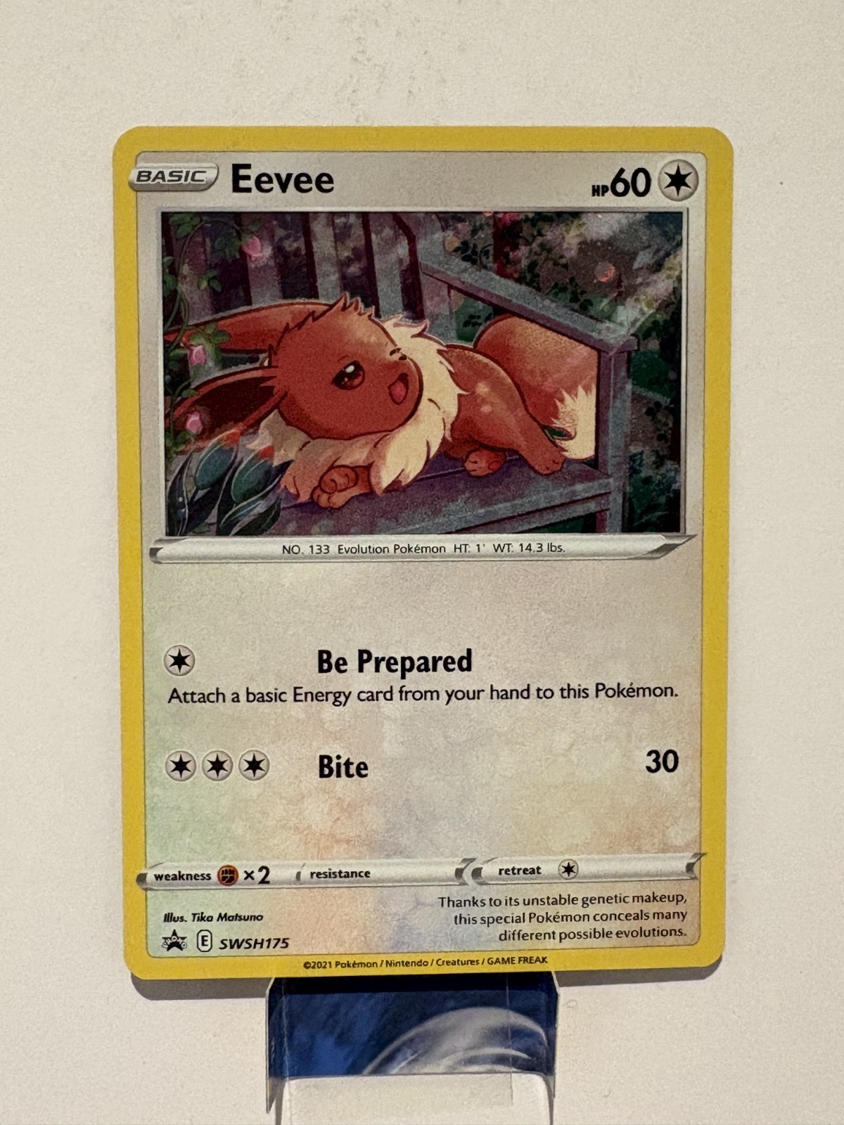 Eevee SWSH175 Black Star Promo Fusion Strike NM Pokemon Card