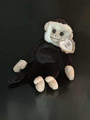 Mooch The Spider Monkey TY Beanie Baby 1998 New Came With WRONG Cover Hang Tag