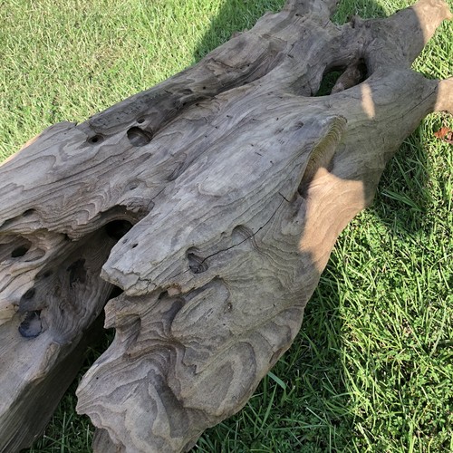Xtra Large Driftwood Beautiful Aquarium Decor 38x18x10 Real Wood Holes Terrarium - Picture 19 of 23