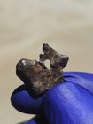 Agoudal Iron Meteorite 3.274g Individual Natural Hole Rare IIAB Iron COA — photo 9