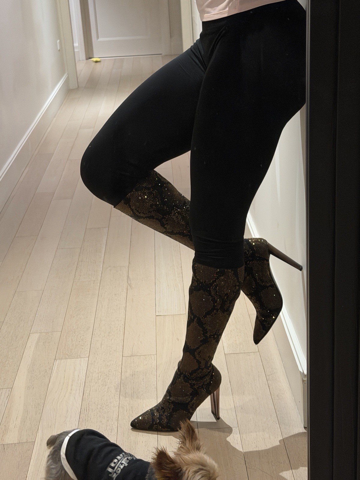 Python Print Knee-High Stretch Sock Boots: Gwenit… - image 8