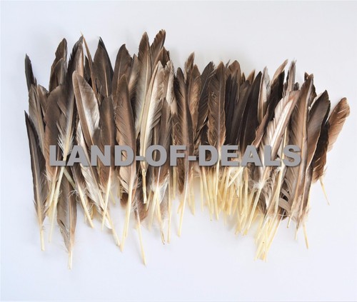 40+ Duck pointer feathers Natural brown loose real feathers for crafts 0.5/1 oz - Picture 7 of 8