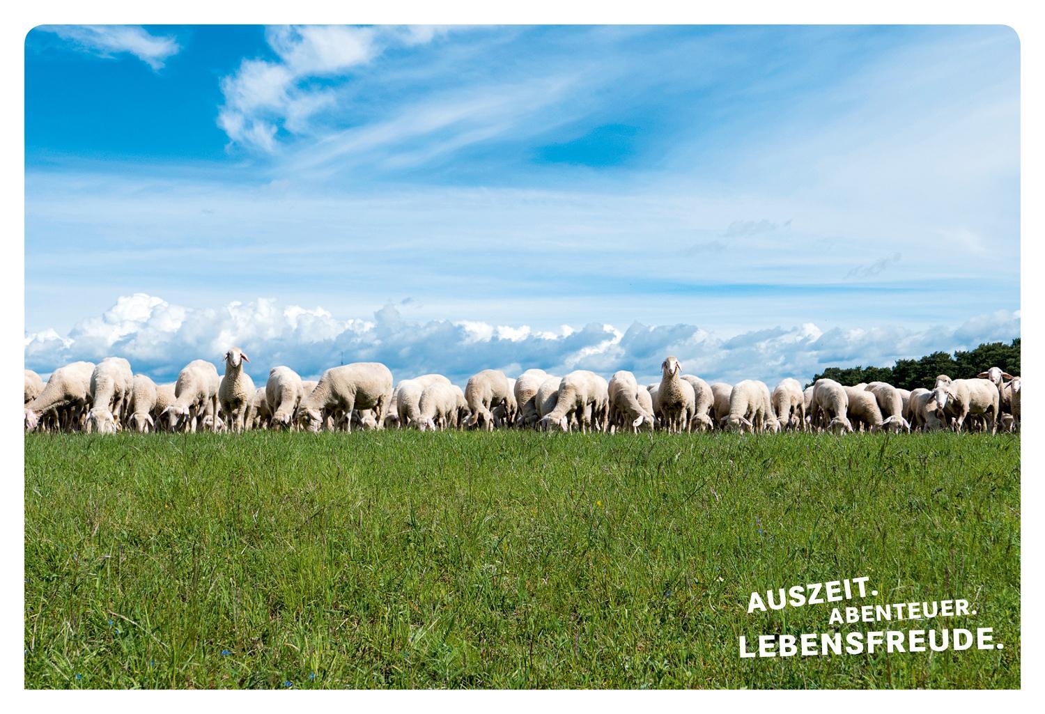 Thumbnail - 52 Kleine & Große Eskapaden In Und Um München Nadine Ormo