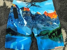 GREYSON Painted Mountain Indian Wells Swim Shorts Men's Size 34 Cattail NWT