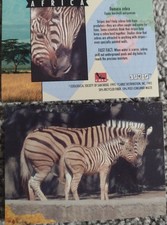 1993 CARDZ SAN DIEGO ZOO - PICK / CHOOSE YOUR CARDS