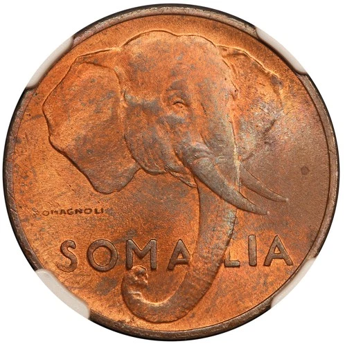 AH1369 (1950) Somalia Elephant 5 Centesimi Coin - NGC MS 63 RB - KM #2