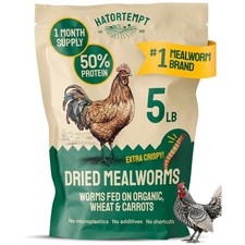 Nutritious Dried Mealworms - Ideal Chicken  Bird Food