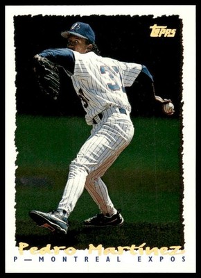 Pedro Martinez 1995 Topps #389 CyberStats (Spectralight) Montreal Expos