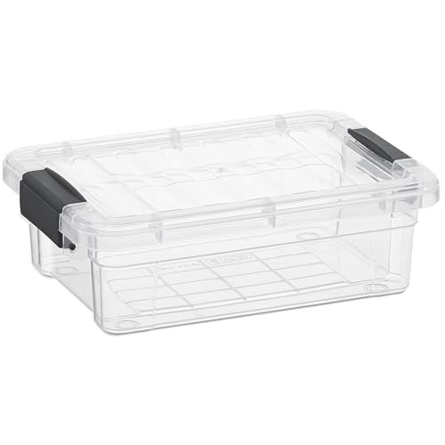 Mini Clear Plastic Storage Bin with Lid – BPA-Free & Non-Toxic – 8.25x5.5x3 Inches