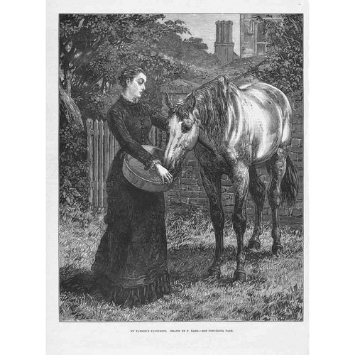 FRANK DADD My Father's Favourite - Antique Print 1879