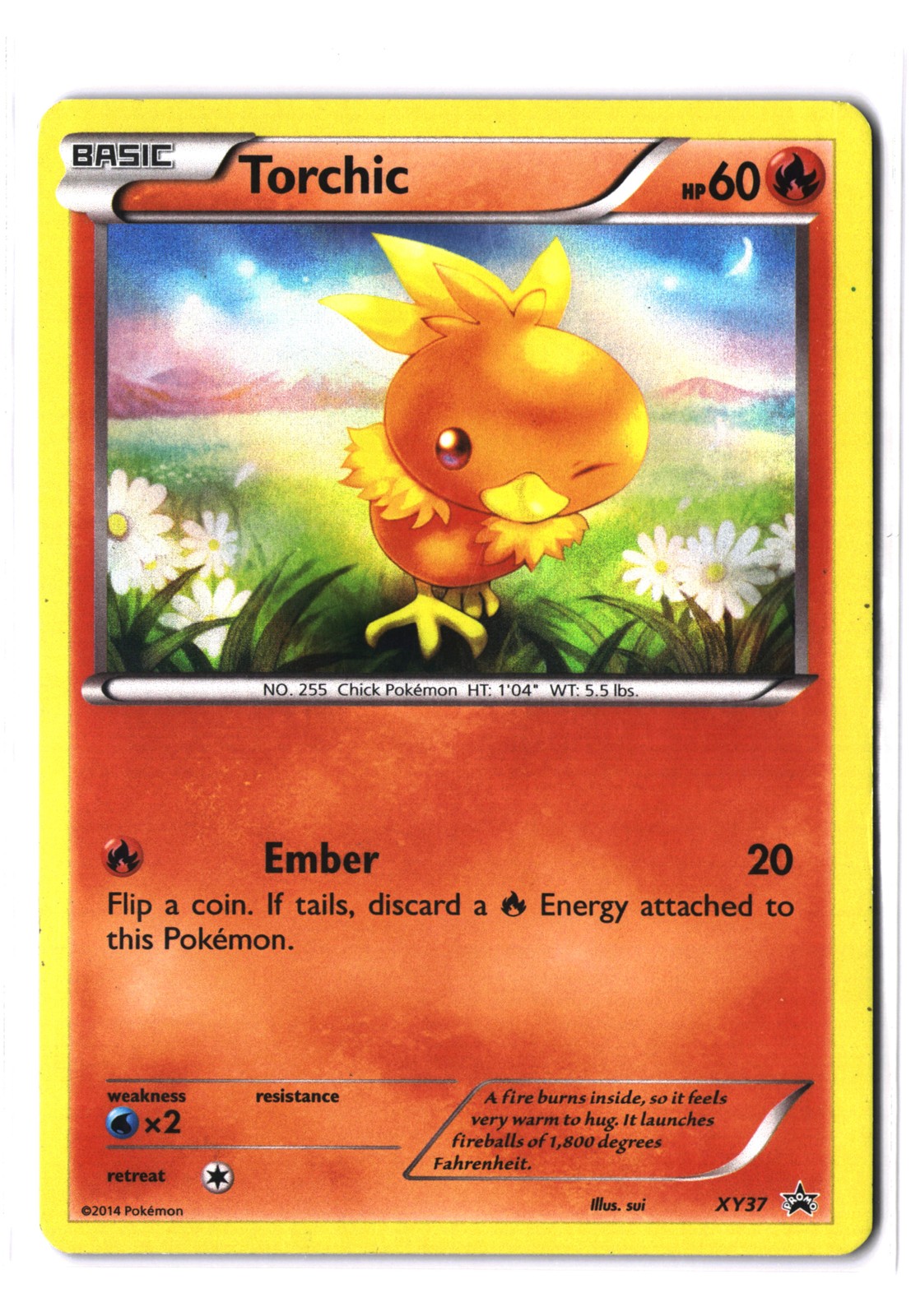 Pokemon TORCHIC XY37 Black Star Holo (2014 XY Promo) LP/Light Play