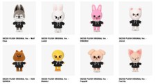 NEW Stray Kids SKZOO Official Original Plush Toy Stay Japan