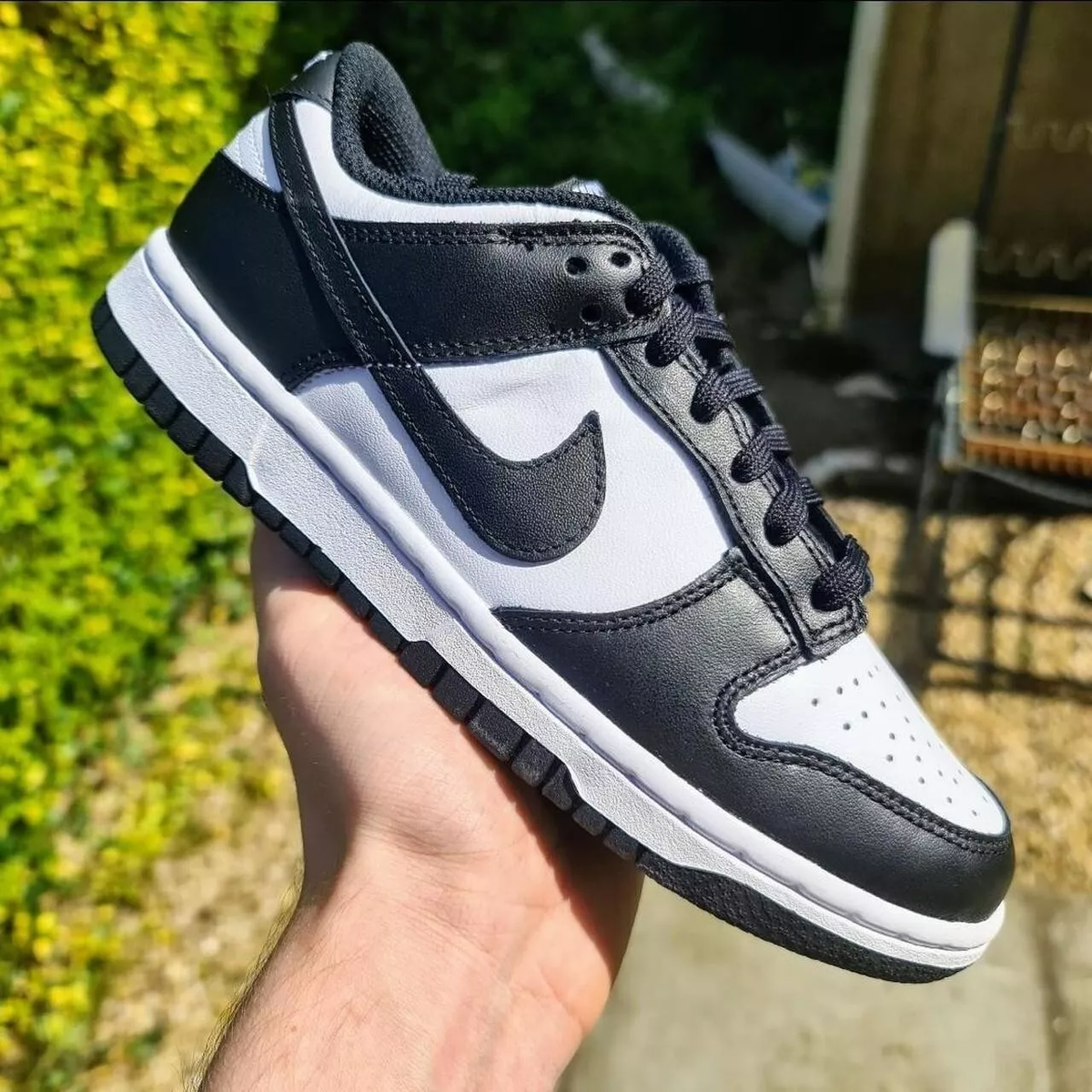 low top black and white dunks